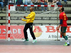 Mobile-handball-Floor-04-800-600.jpg