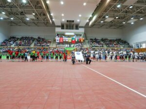 Mobile-handball-Floor-05-800-600.jpg
